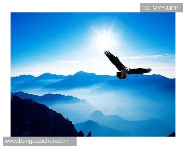 深度探讨李强在王者荣耀中的成长与人生哲学